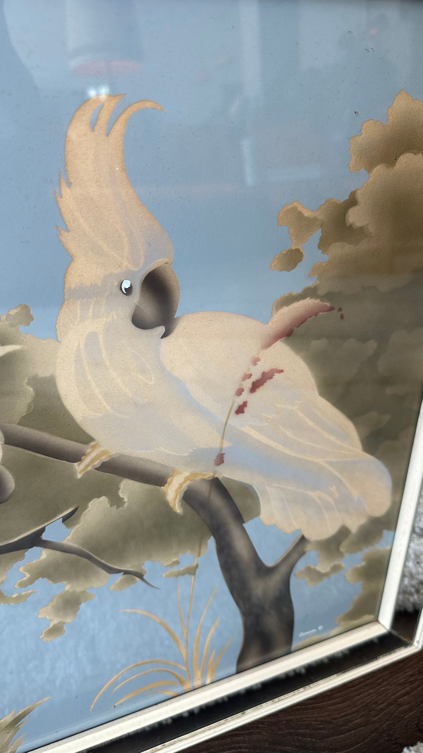 1950s Turner Mirror Framed Cockatoo Print