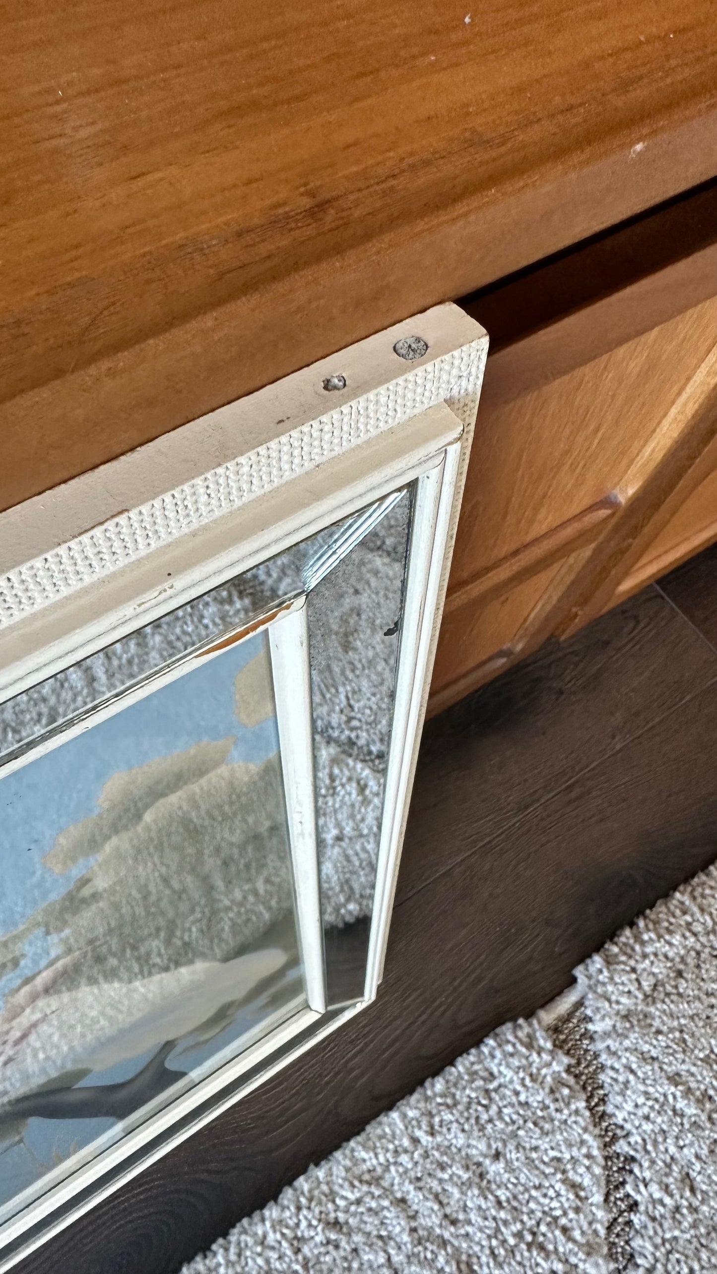 1950s Turner Mirror Framed Cockatoo Print