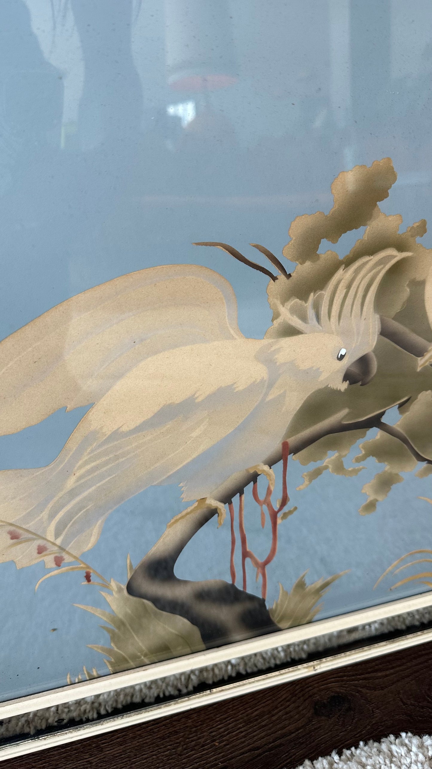 1950s Turner Mirror Framed Cockatoo Print