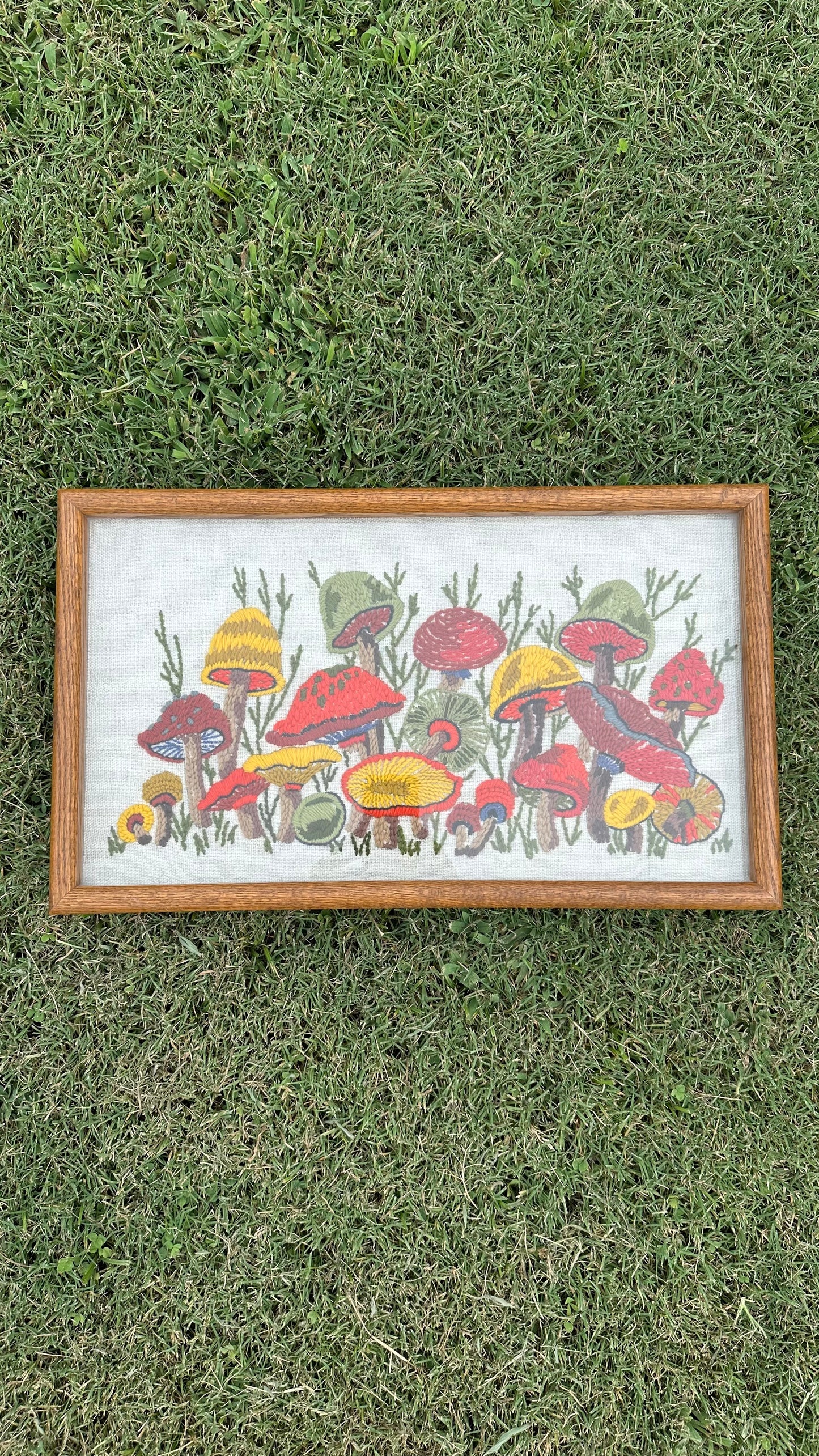 Vintage Mushroom Crewel