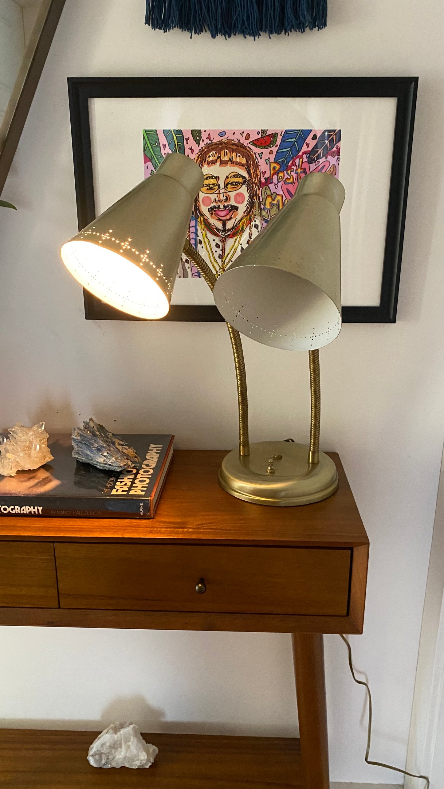 Mid Century Brass Double Headed Gooseneck Desk Lamp